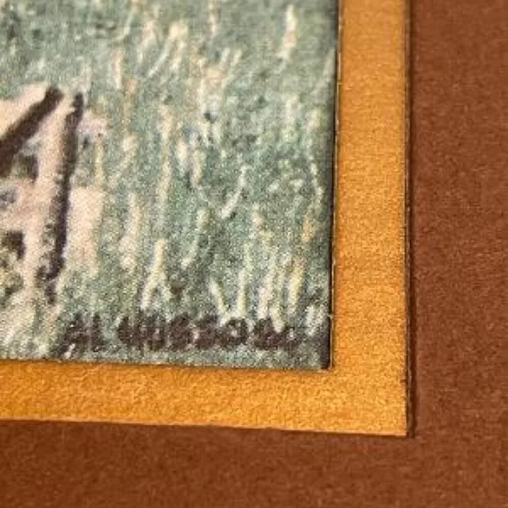 Vtg Dr. Pierce's Pleasant Pellets Print